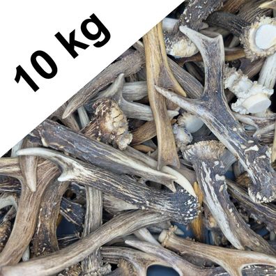 Rehgeweihe 5-26 cm - Rehbock Natur Deko Basteln Krone Abwurfstange Hirsch Stange