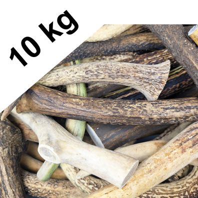 Geweihe Rothirsch 20-25 cm - Geweihstange Passstange Natur Deko Handwerk Hund