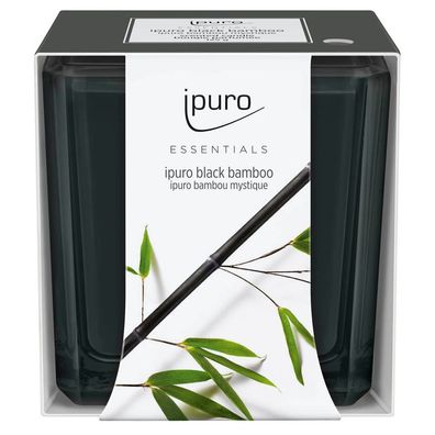 ipuro IFC2208 ipuro Duftkerze Black Bamboo schwarz Black Bamboo