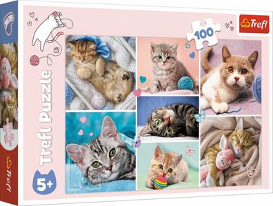 Trefl 16420 Puzzle Katzenwelt - 100 Teile