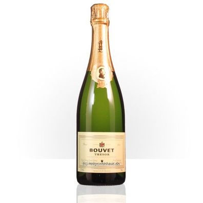 Bouvet-Ladubay 2021 TRESOR Brut Blanc Saumur AOC Fûts de Chêne 0.75 Liter