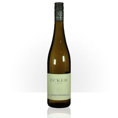 Weingut Ecker - Eckhoff 2024 'Grüner von Eckhof' Wagram 0.75 Liter