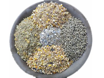 Hühnerfutter Legegeflügel Probierpaket 4 verschiedene Futter + Mineralfutter