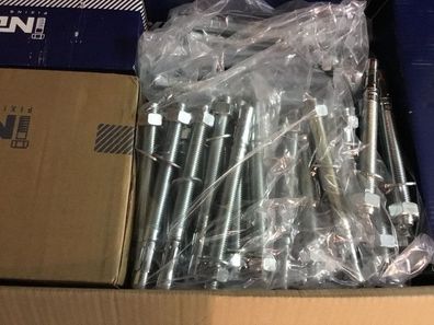 Bolzenanker Blitzanker Durchsteckanker Ankerbolzen verzinkt Palette 54