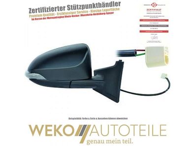 Außenspiegel links Diederichs 6607025 für TOYOTA