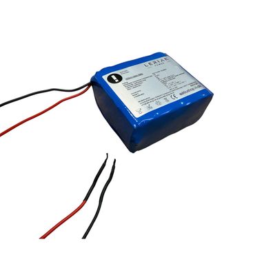 Lithium-Ionen Akku 24V 3,2Ah 76,8Wh Akkupack incl. 5A BMS Panasonic Zellen