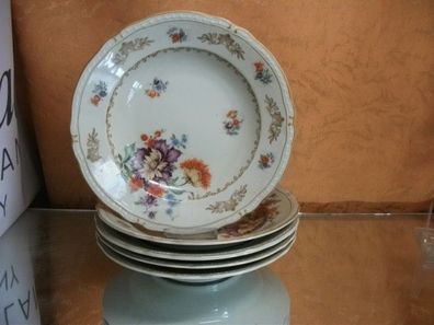 6 Suppenteller von Arzberg Schumann