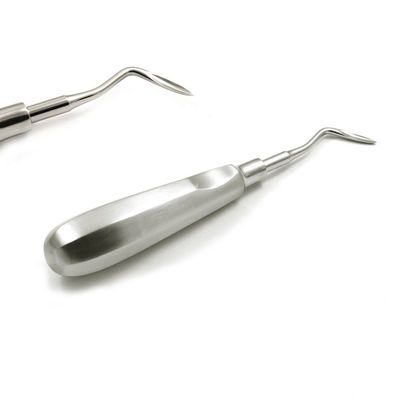 wurzelhebern apical, Links