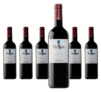 6 x Viña Sastre Crianza – 2022