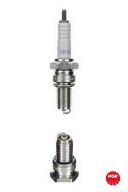 Zündkerze NGK2923 DR8ESL für Honda Suzuki 98069-38716 98069-38719 09482-00149