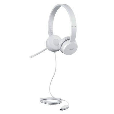 Lenovo 110 Stereo USB Headset (Wolkengrau, On Ear)