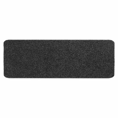 Stufenmatte Step anthrazit 25x60cm Türmatte Schmutzfangmatte Fußabtreter Matte