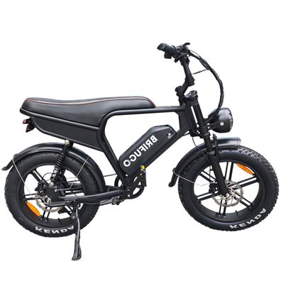 20" Fat Reifen E-Mountainbike-Schneebike 48V 18.2AH für Abenteurer & Alltagsfahrer