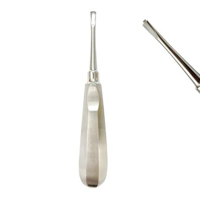 Wurzelheber n Luxator, maulbreite = 2 mm