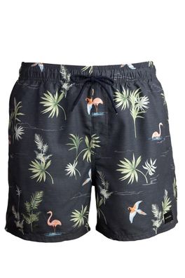 Badeanzug Rip Curl Pajarito Volley Kinder