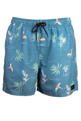 Badeanzug Rip Curl Blau Kinder