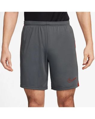 Short Nike Dri-FIT Academy Grau
