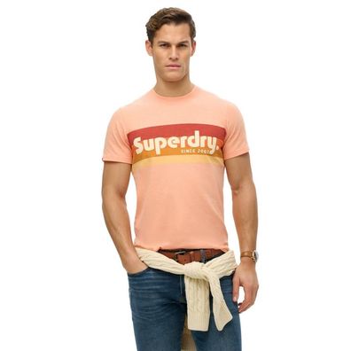 T-Shirt Superdry Terrain Logo Streifen Relaxed
