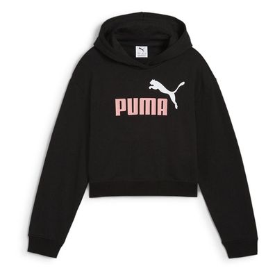 Hoodie Puma Essentials 2 No. 1 Logo