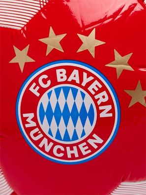 FC Bayern München Fußball 4 29532