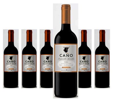 6 x Pagos Del Rey Caño Tempranillo - Garnacha – 2024