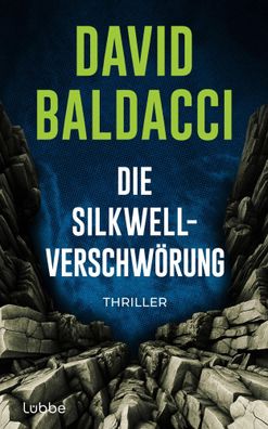 Die Silkwell-Verschwörung | David Baldacci | Buch | Die Travis-Devine-Serie