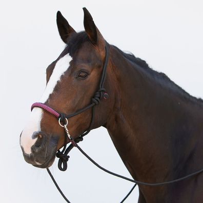Kieffer Knotenhalfter Ruby - schwarz/burgund - Warmblut