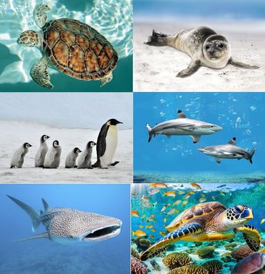 3 D Ansichtskarte Wassertiere Meerestiere Ozean Postkarte Wackelkarte Hologrammkarte