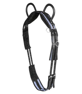 Waldhausen Longiergurt black grey mit zwei Handgriffen