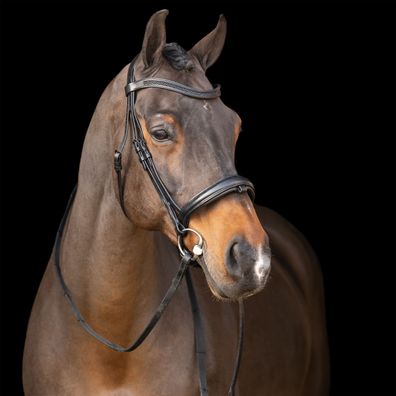 Imperial Riding Trensenzaum Englisches Reithalfter black-black mit Strass Stirnriemen