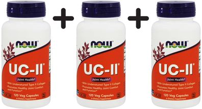 3 x NOW Foods UC-II Undenatured Type II Collagen - 120 vcaps