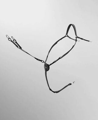 Passier Vorderzeug Marcus Ehning schwarz silber mit Martingalgabel