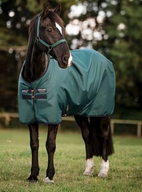 Horseware Amigo Ripstop 900D Lite 0g Turnout Decke Dynasty Green/Navy & Silver