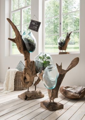 Glasvase mit Deko-Wurzel aus Teak 50 cm