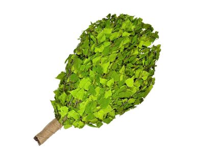 Birkenreisig 60cm Birkenquast Birkenzweig Sauna Wenik Banja Saunazubehör Vitau