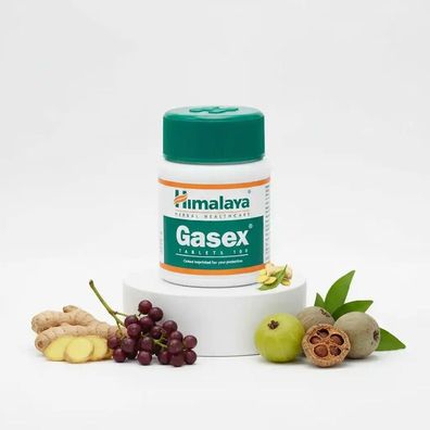Himalaya Gasex 100 Tabletten