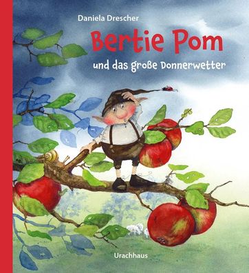 Bertie Pom und das große Donnerwetter | Daniela Drescher | Buch | 26 S. | 2021