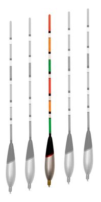 Vorbebleite Waggler - 6 + 2g