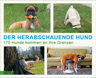 Der herabschauende Hund | 170 Hunde kommen an ihre Grenzen | Taschenbuch | 2022