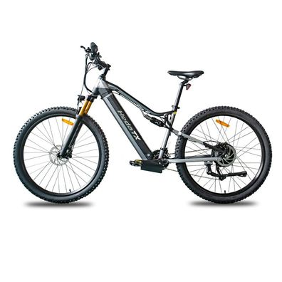 29 Zoll E-Mountainbike 48V 19.2Ah Akku, 1000W Motor, 27-Gang, hydraulische Bremsen
