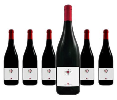 6 x Lungarotti Montefalco Rosso Riserva – 2022