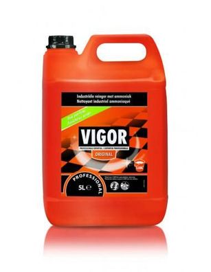 Bodenreiniger Vigor kraftvolle Reinigung 5 Liter