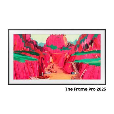 Fernseher Samsung The Frame Pro 65LS03FW 65 Zoll 4K UHD