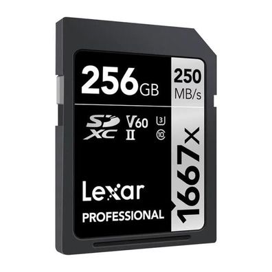 Speicherkarte Lexar Professional 1667x 256 GB