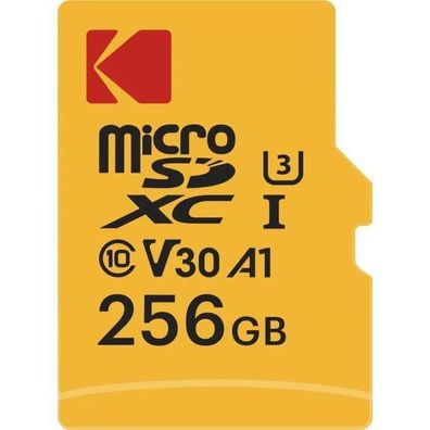 Speicherkarte Kodak 256 Go Micro SD