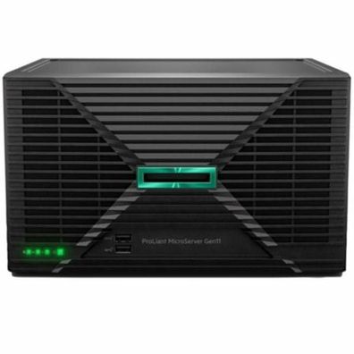 Server Hewlett-Packard Enterprise HPE ProLiant MicroServer Gen11 16GB RAM