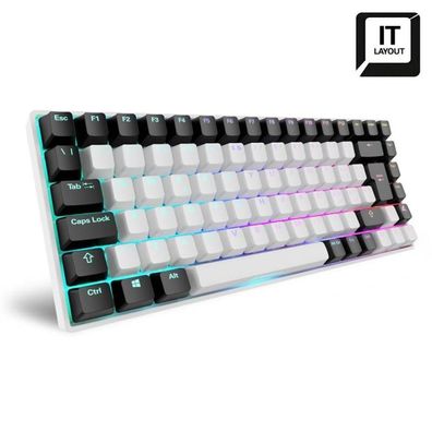 Mechanische Gaming Tastatur Sharkoon Skiller SGK50 S3 Weiß