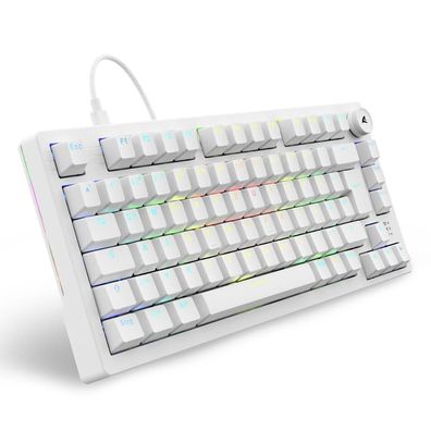Gaming-Tastatur Sharkoon Skiller SGK25 Weiß, 75 % Layout