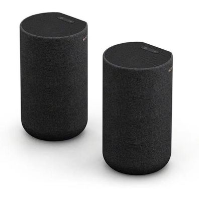 Lautsprecher Sony SA-RS5 kabellos, schwarz