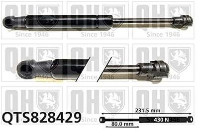 Toner Cyan Ricoh 828429 - Hochwertiger Druck